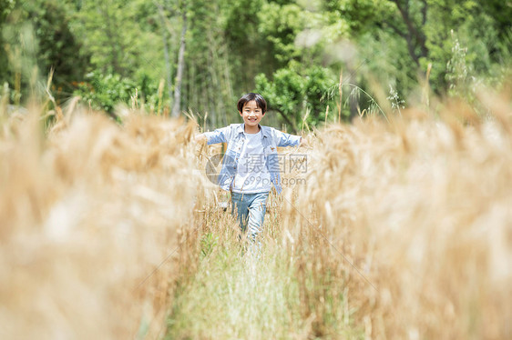 小男孩稻田奔跑图片