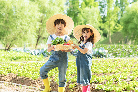 儿童节小男孩小朋友农场采摘背景