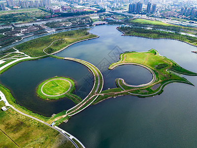 奉贤上海之鱼背景图片