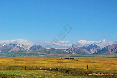 新疆独库公路沿途草原背景图片