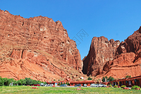 峭壁上的花新疆库车大峡谷背景