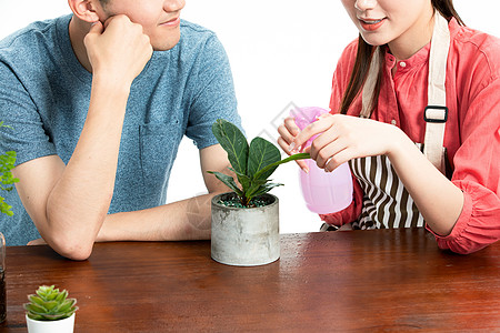 情侣种植盆栽图片