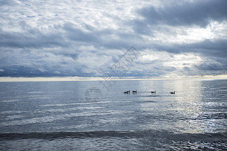 海里游泳海边蓝天白云背景