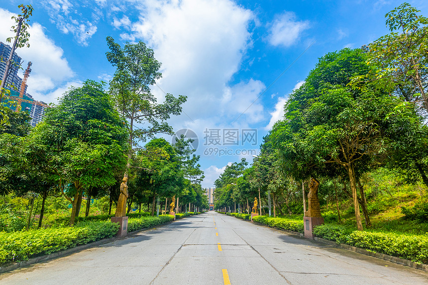 陵园道路图片