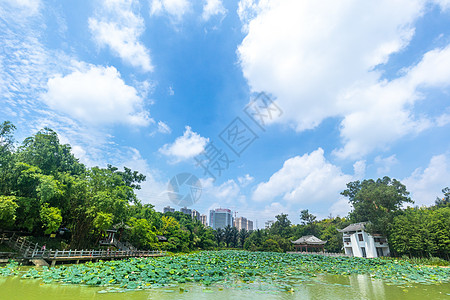 城市园林景观南宁狮山公园背景