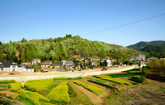 新农村早春图片