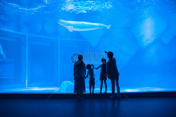 年轻家庭参观海洋馆背影图片