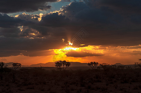 东非草原的黄昏背景图片