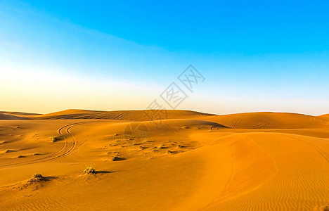 沙漠公园迪拜沙漠保护区背景