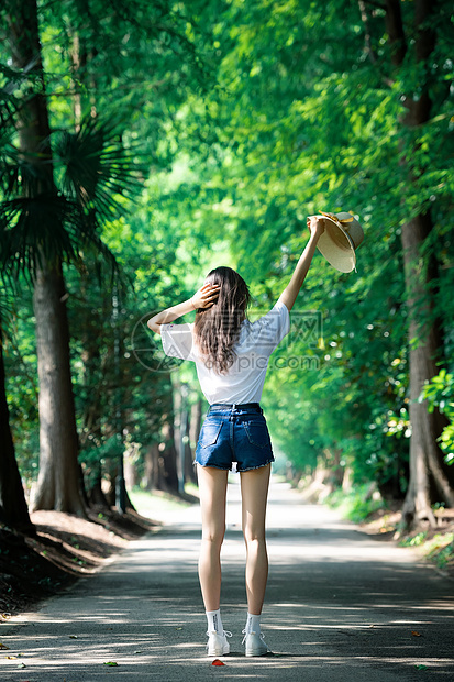 林荫路前女孩背影图片