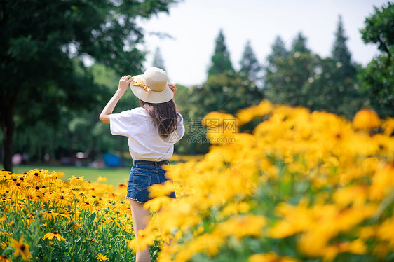 花海女孩背影图片