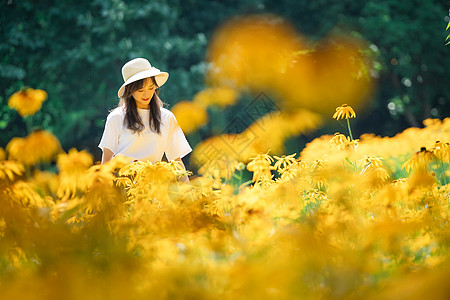 夏季花海写真图片