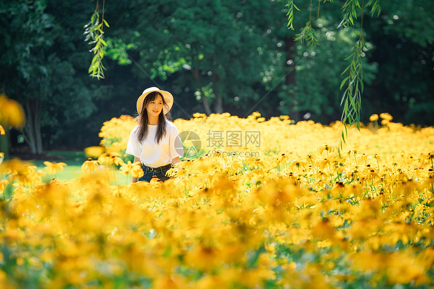 夏季花海高清图片下载 正版图片 摄图网