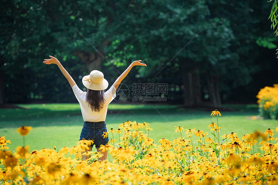 花海女孩背影图片