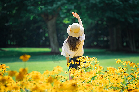 花海女孩背影图片素材