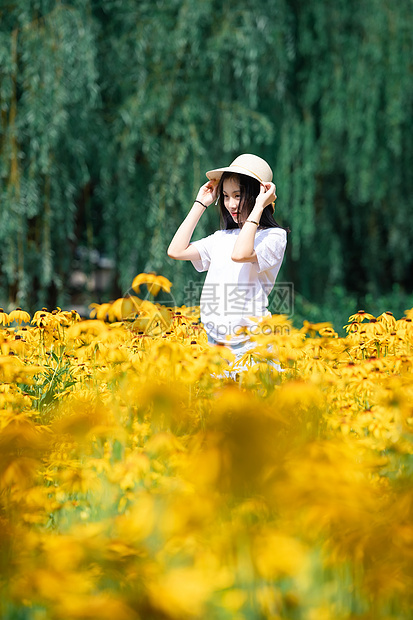 花海中的女孩图片