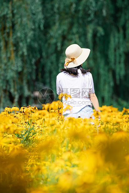 花海中的女孩图片