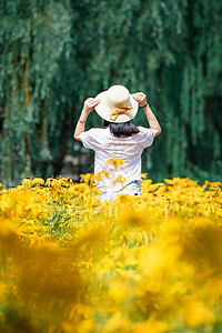 花海女孩背影图片