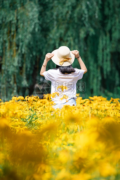 花海女孩背影图片