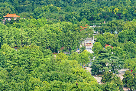 江西赣州航拍绿荫环绕的江西九江公园背景