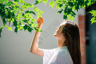 女孩抬头看绿叶图片