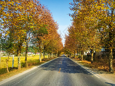 皖南金秋公路风光图片