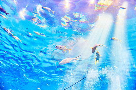 蓝色海底世界海底鱼群背景