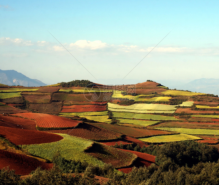 梯田风光图片