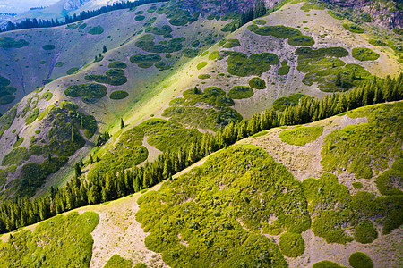 新疆天山高山牧场森林风景旅游图片