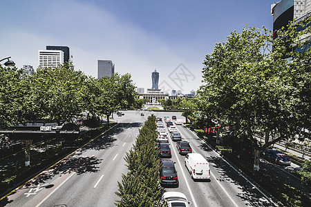 城市行道树杭州武林广场背景