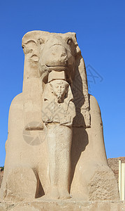 卡纳克神庙的羊面狮身像高清图片