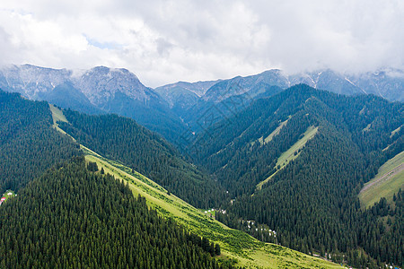 航拍新疆天山原始森林草原牧场图片