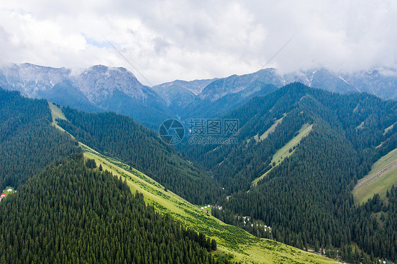 航拍新疆天山原始森林草原牧场图片