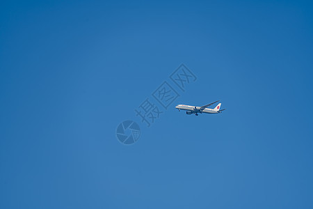 国航波音A350图片