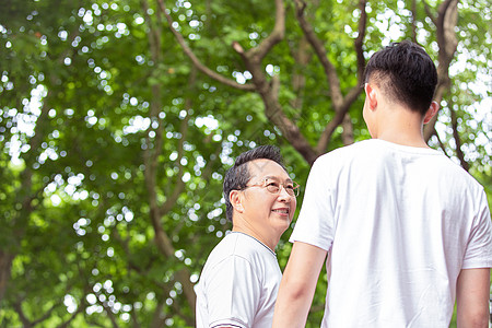 仙人掌父子图片