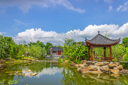 苫小牧公园风光蓝天下的贵港园林风光背景