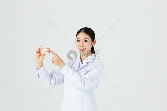 女性牙科医生展示口腔模型图片