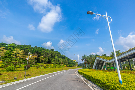 钦州园小道城市道路路灯高清图片