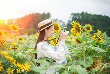 向日葵少女摄影背景图片