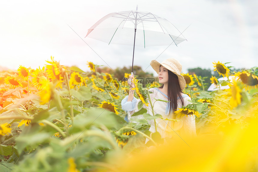 向日葵少女手拿雨伞图片