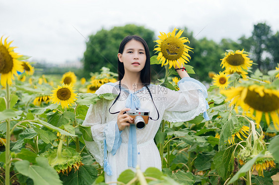 向日葵少女图片