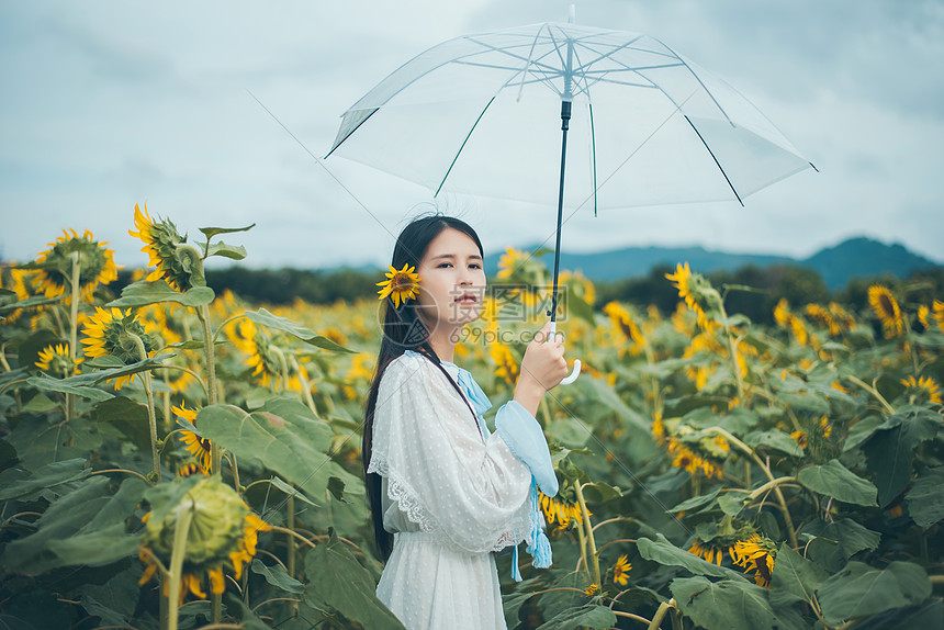 向日葵少女拿着雨伞图片