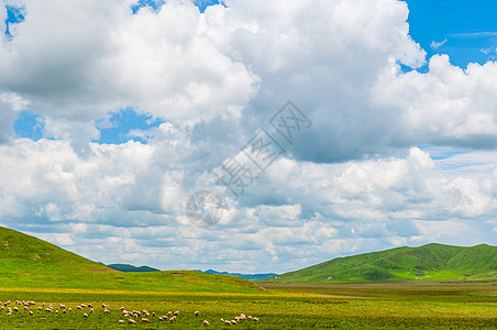 辽阔的大草原高原草场背景