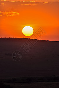 东非草原日落图片