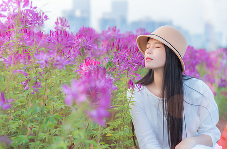 花海里的少女背景图片