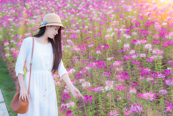 花海里的少女图片