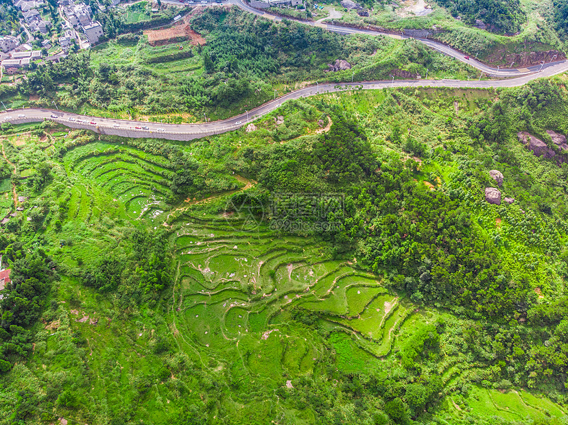 福州鼓岭茶园航拍图片