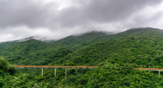 深圳东部华侨城景区自然风光背景