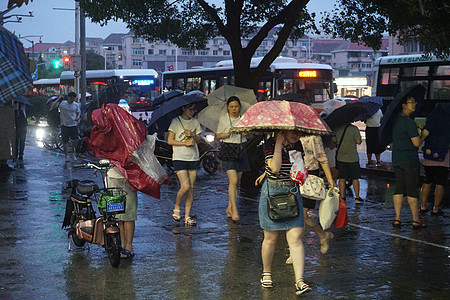 2019年8月9日上海，利奇马台风天气出行在外的市民【媒体用图】（仅限媒体用图使用，不可用于商业用途）图片