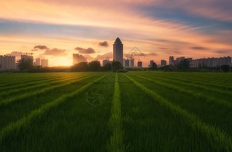 大地背景照片 大地背景背景 大地背景摄影图片下载 摄图网 大地背景照片 大地背景背景 大地背景摄影图片下载 摄图网